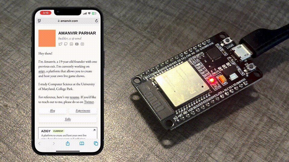 A demo of Tarpan
